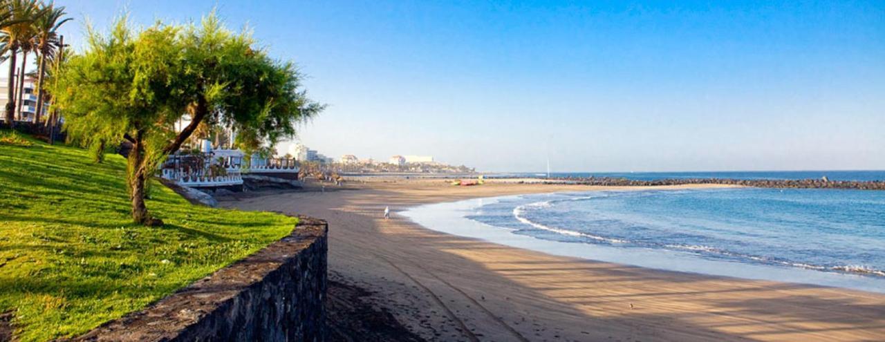 319 Modern Accommodation,Sea View, Wi Fi And Pool Playa de las Americas  Exteriér fotografie